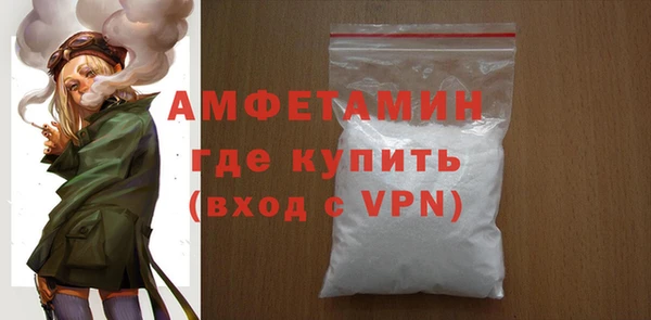 молекула духа Богданович