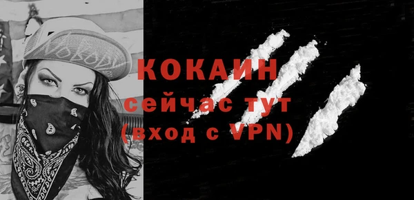 молекула духа Богданович