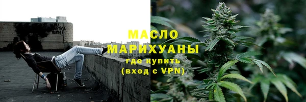 молекула духа Богданович