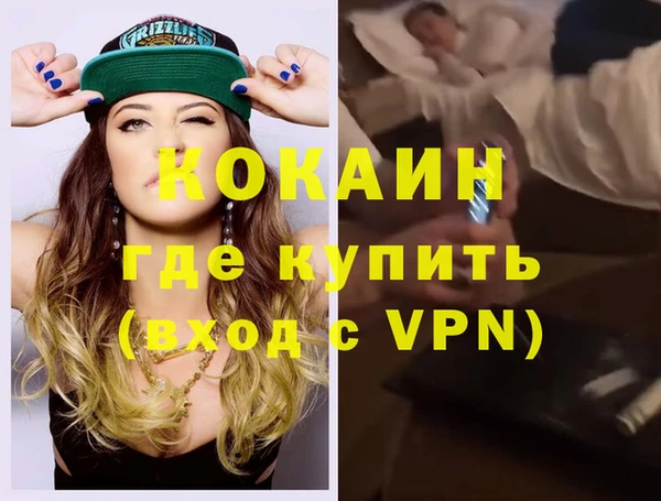 стаф Белокуриха