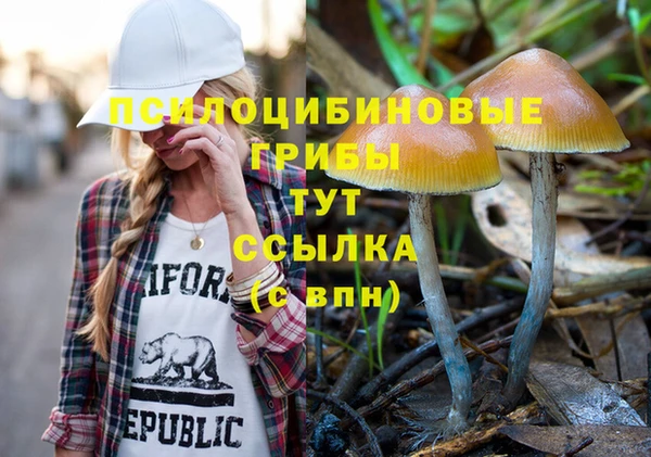 прущая мука Беломорск