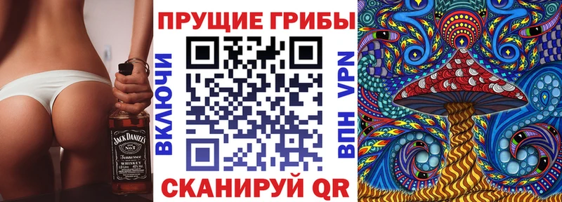 Псилоцибиновые грибы мицелий  Дубовка 