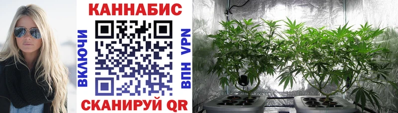 mega сайт  Дубовка  Бошки Шишки Bruce Banner  где продают наркотики 